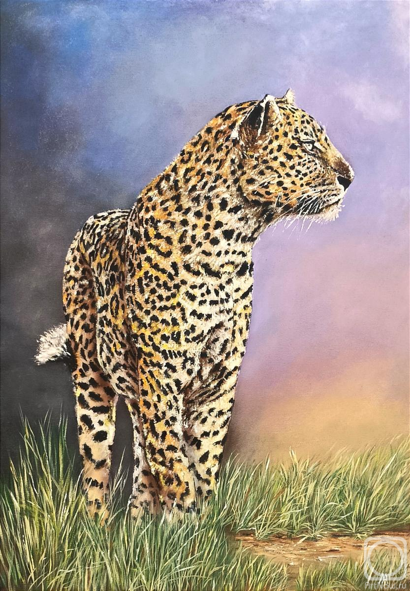 ������� ������ �� ������. �������� ������. �������