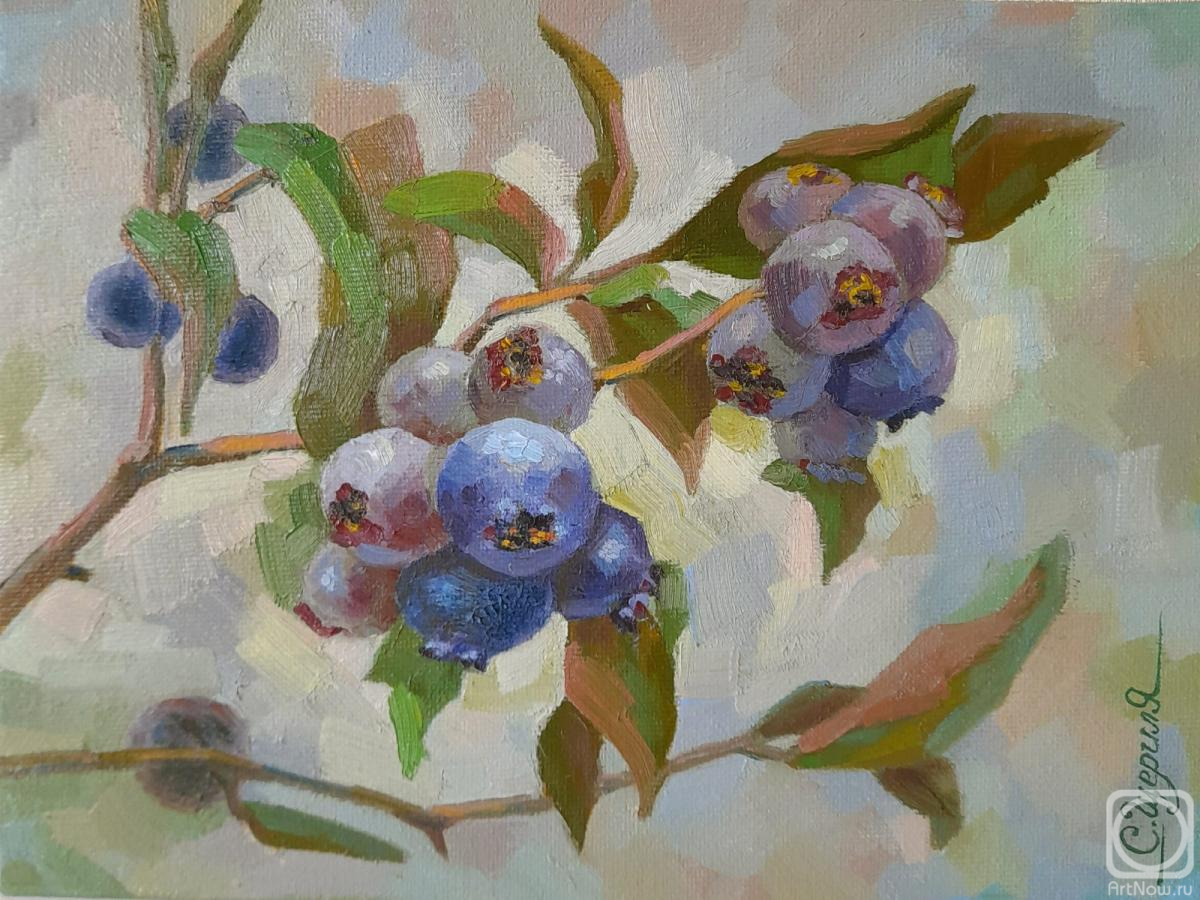 Scherilya Svetlana. Blueberry branch