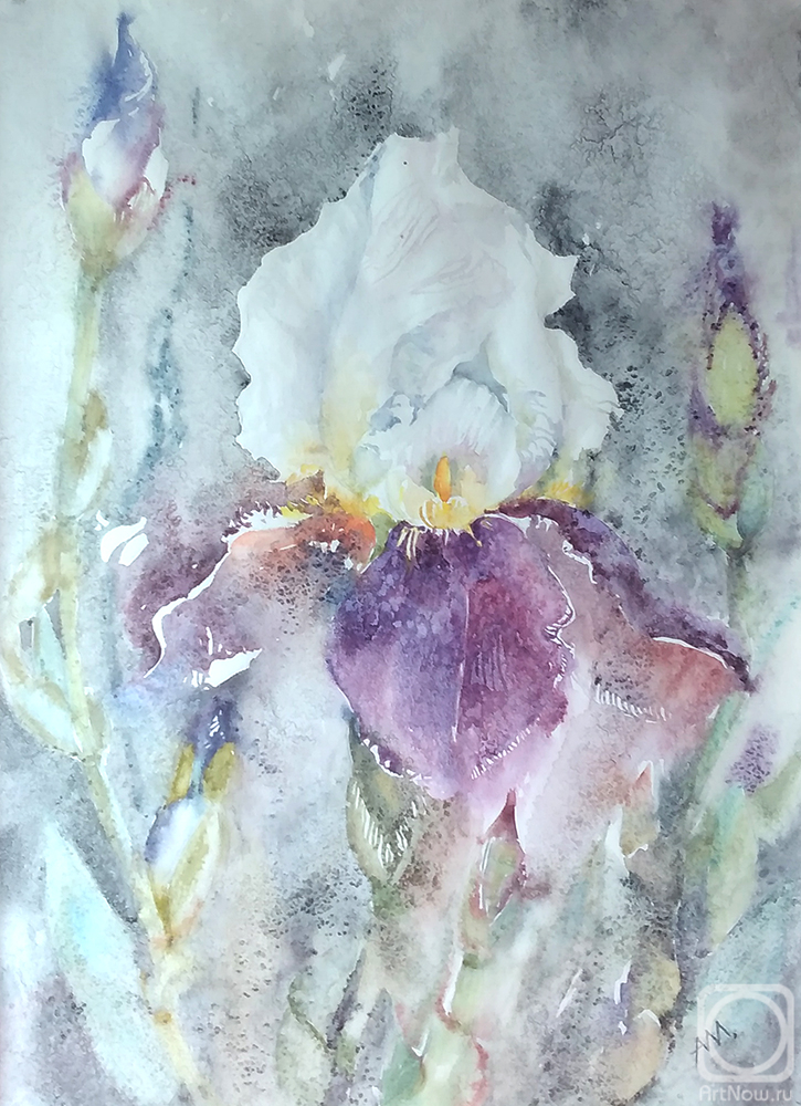 �������. �������� ����. ����