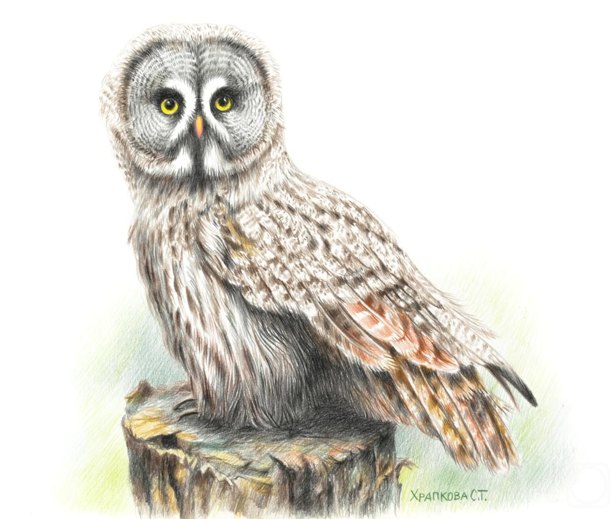 �������. �������� ��������. ��������� �������