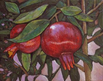Pomegranate. Shah Oxana