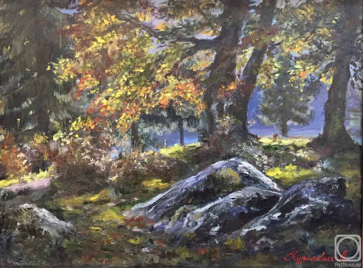 ������� ������ �� ������. ��������� �������. ��������� ������