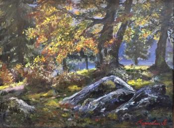 ������� ���������� ������