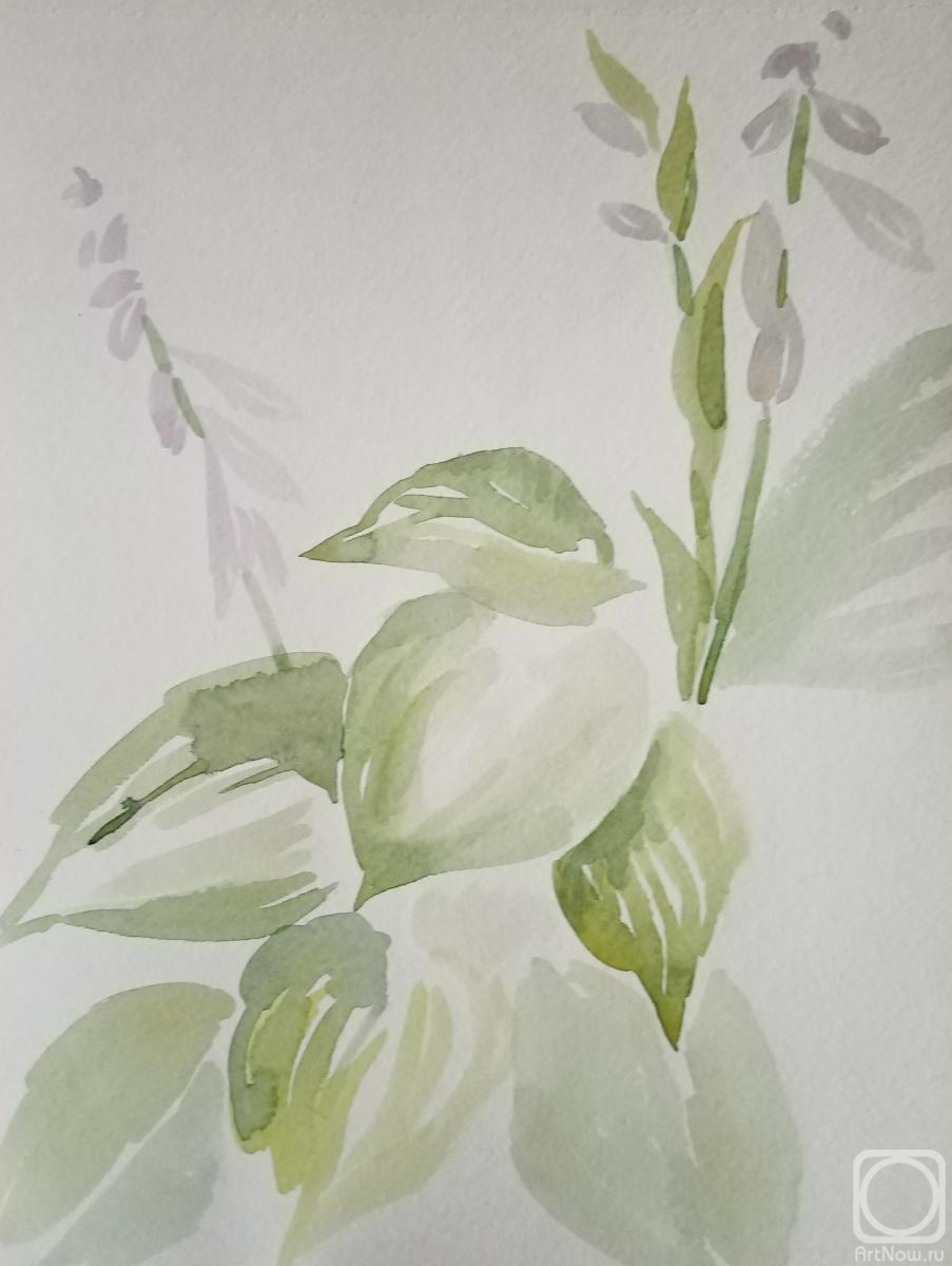 �������. ������� �������. �����