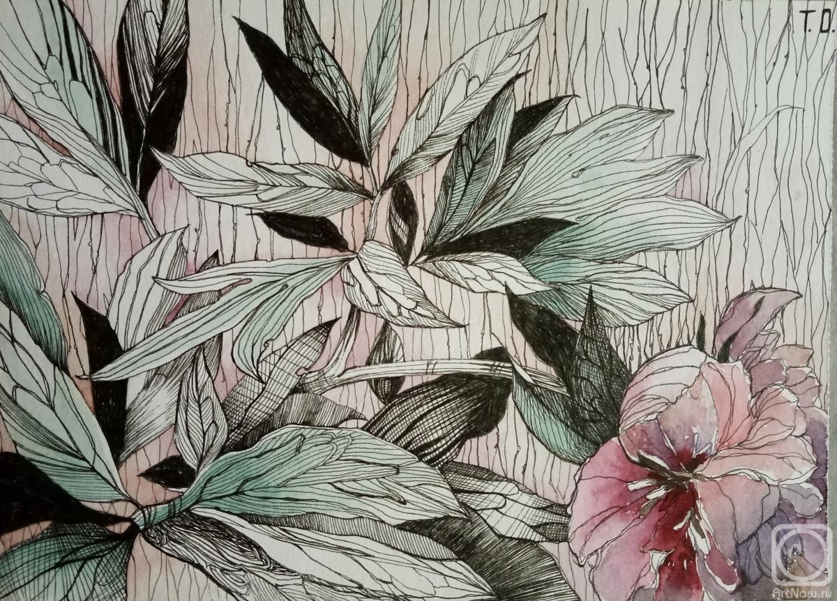 �������. ������� �������. ����