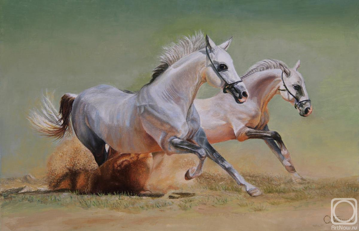 ������� ������ �� ������. ������� ������. ����