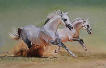 Horses. Gaponov Sergey