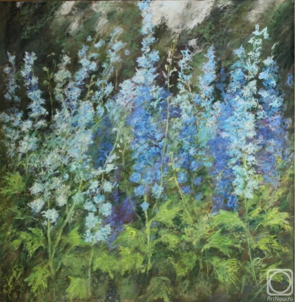 �������. ���� ����. ������� � ������� ����. ����������