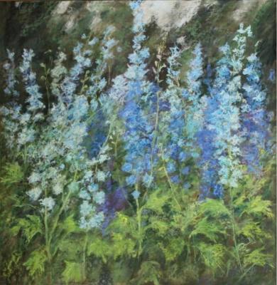 ������� � ������� ����. ����������. ���� ����