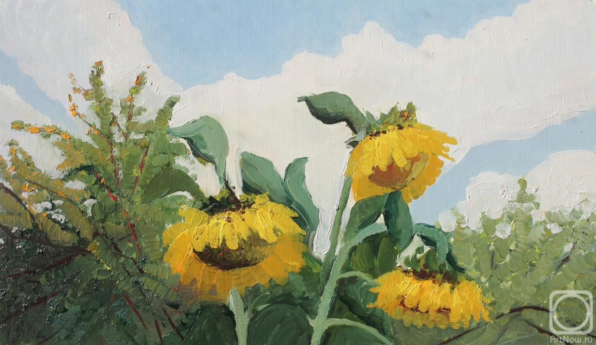 Fyodorova-Popova Tatyana. Sunflowers