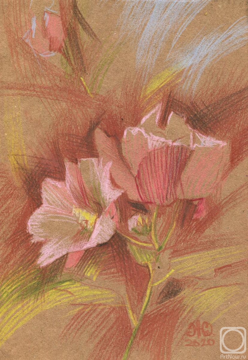 �������. ��������� ����. ������� �����