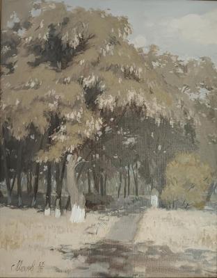 ������ ������ (������������ �������). ������ ���������