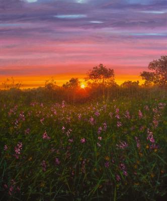 ������� ����������� ���