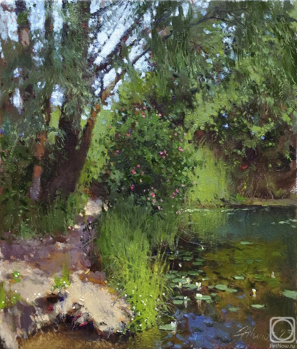 Zhilov Andrey. Under the shade of old willows
