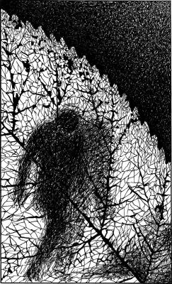 ������� ������������