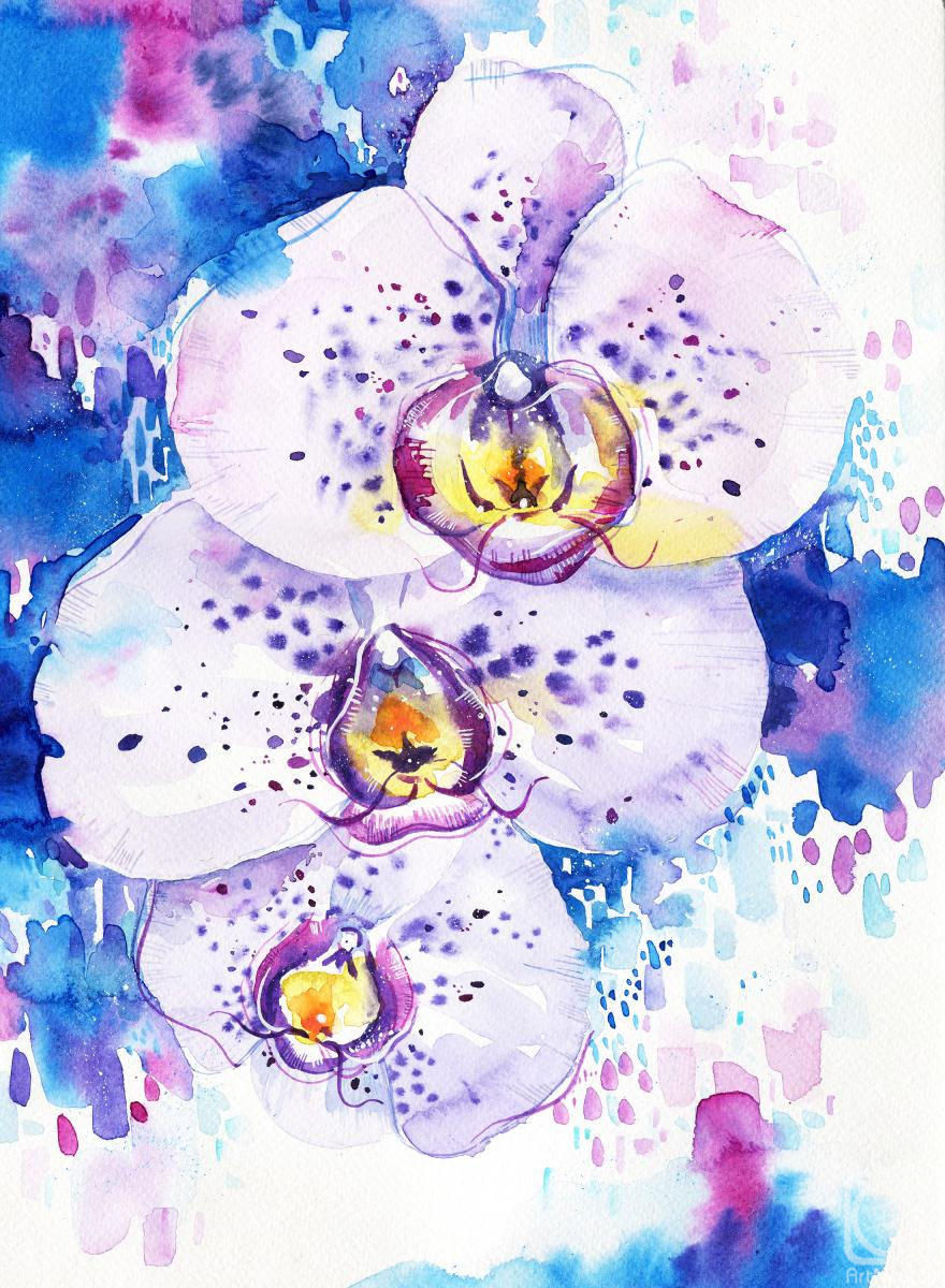 Romanova Aleksandra. Untitled