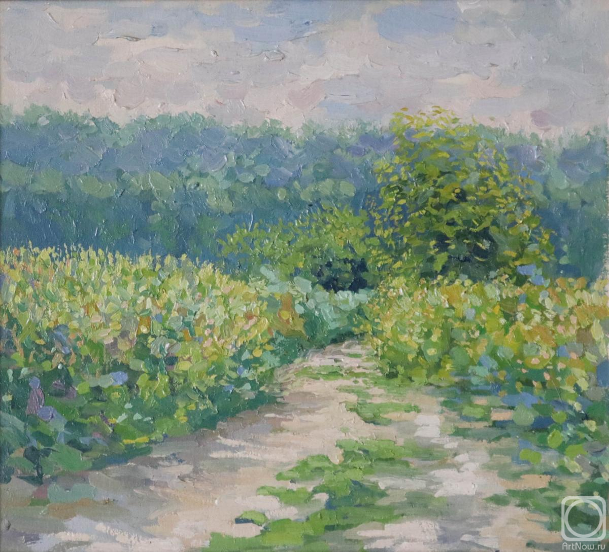 Kozhin Simon. At the path. Noon