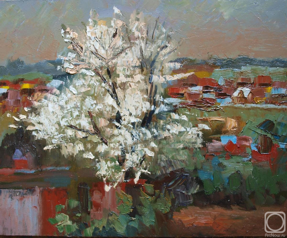 Chernyy Alexandr. The apple tree is blooming