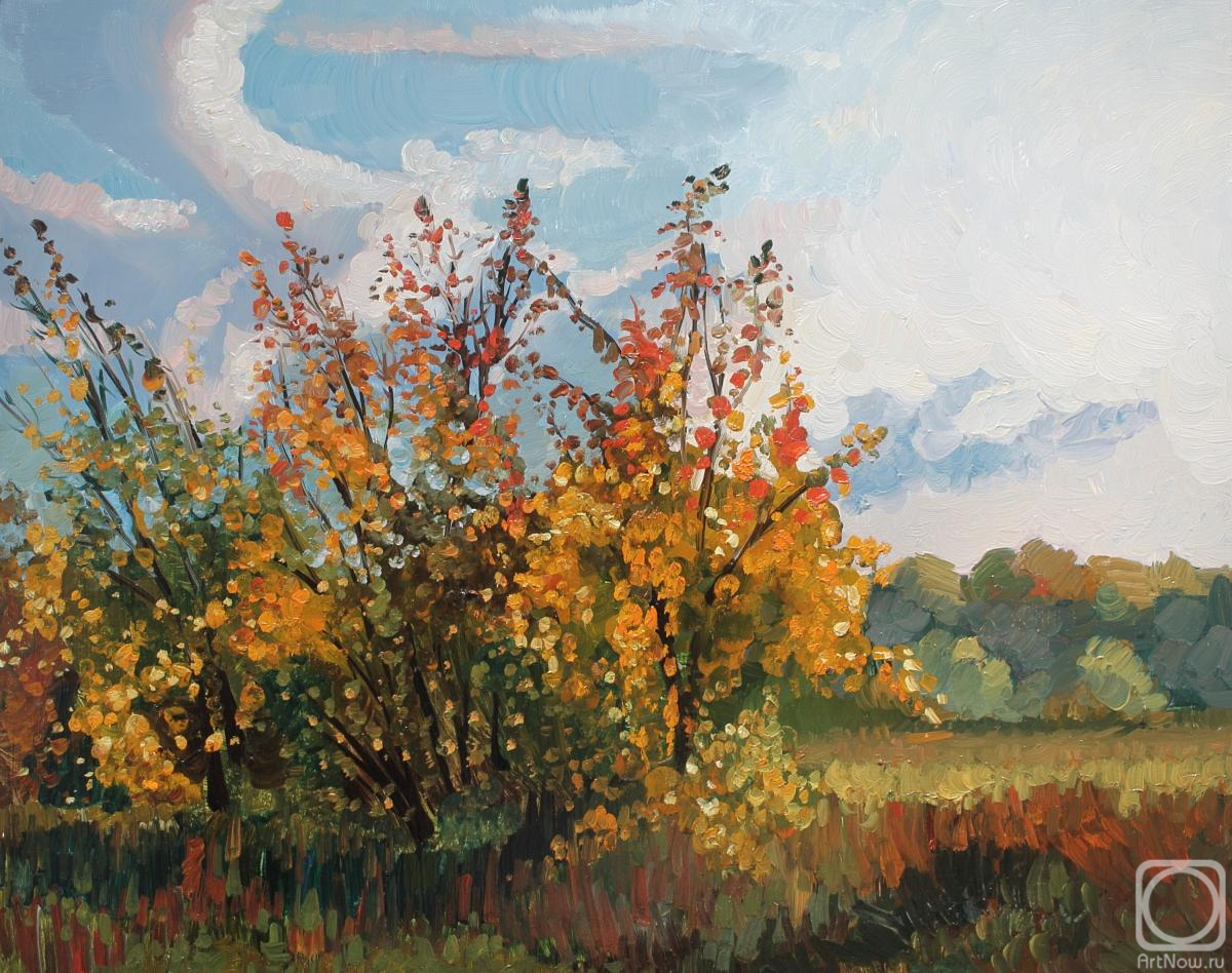 �������. Ը������-������ �������. �������� �����