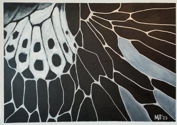 ������� ��������