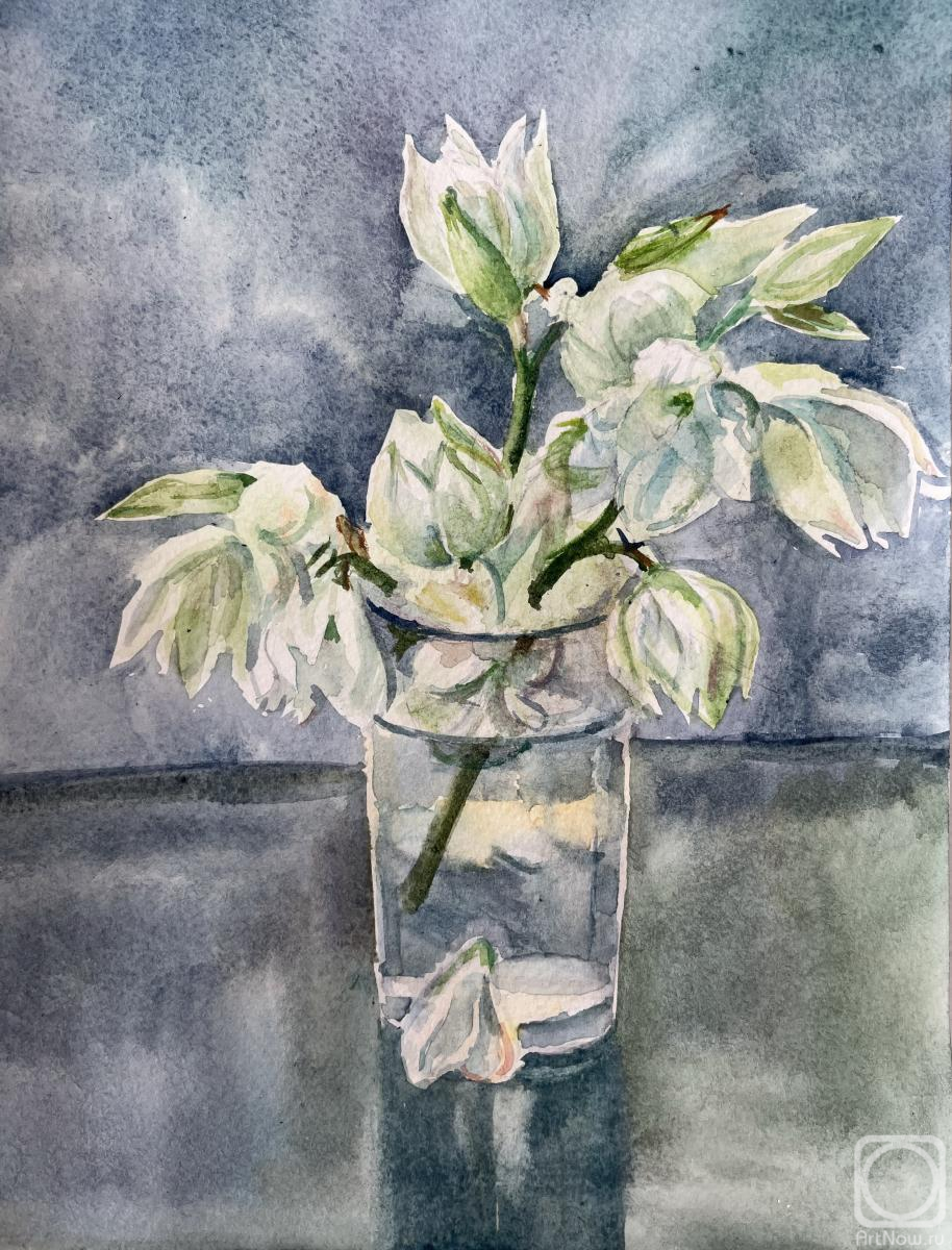 �������. ������� �������. ���� � �����