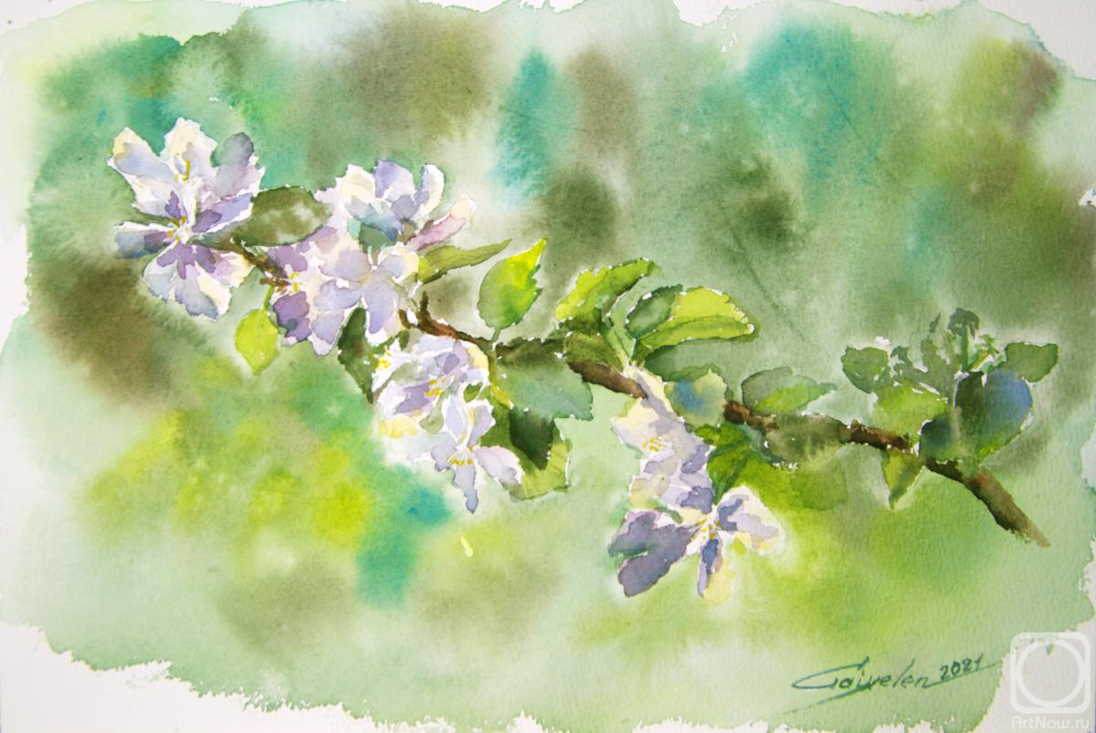 Ветка яблони» картина Гайворонской Елены (бумага, акварель) — купить на  ArtNow.ru