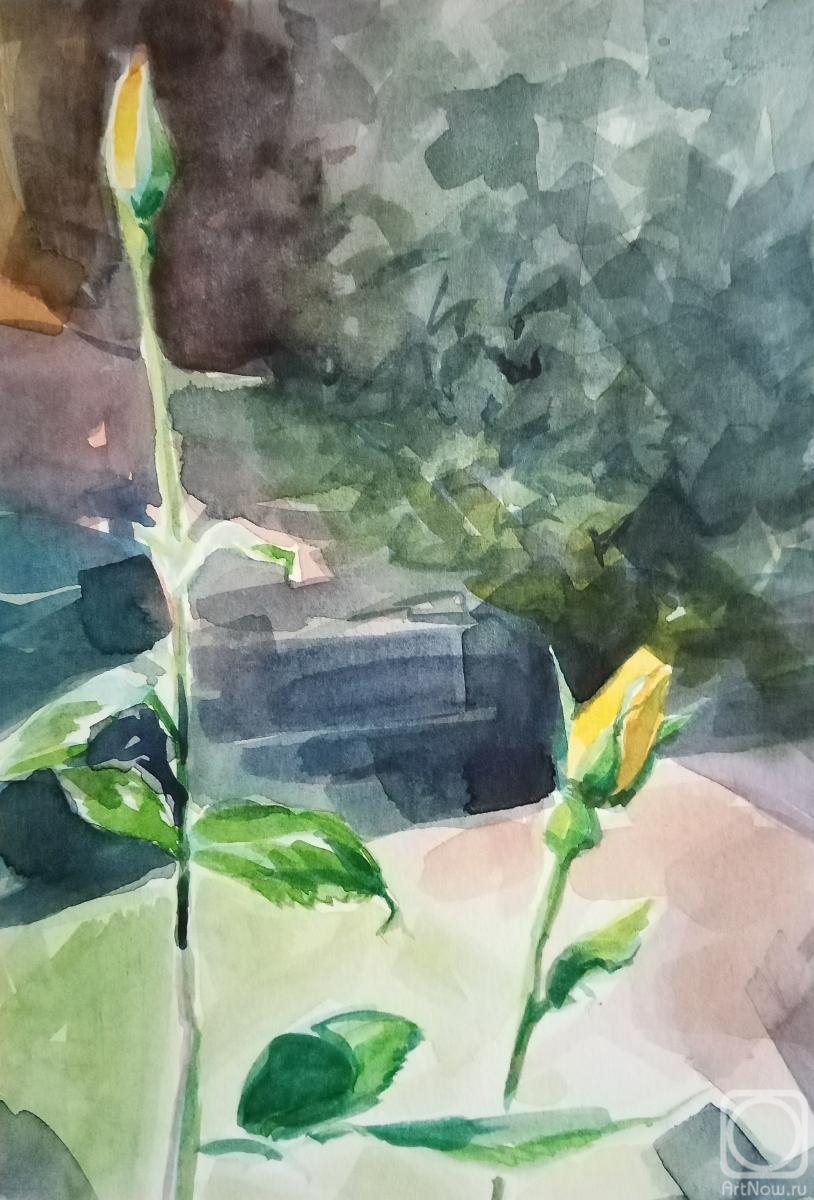 �������. ������� �������. ������ ���