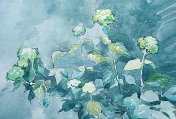 ���������. ������� �������