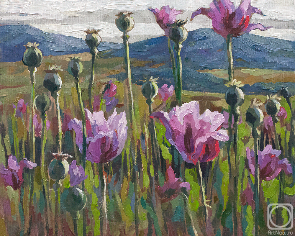 ������� ������ �� ������. ���� �����. ����� ���. 2023