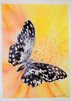 Butterfly and flower. Sotskaya Polina