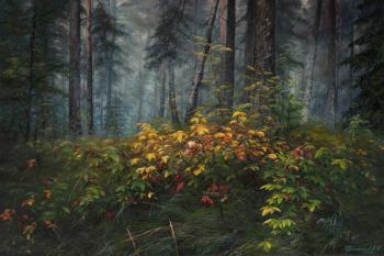 ������� ��������