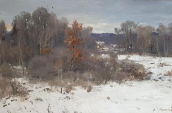 Oaklet. The beginning of winter. Fetisov Evgeniy