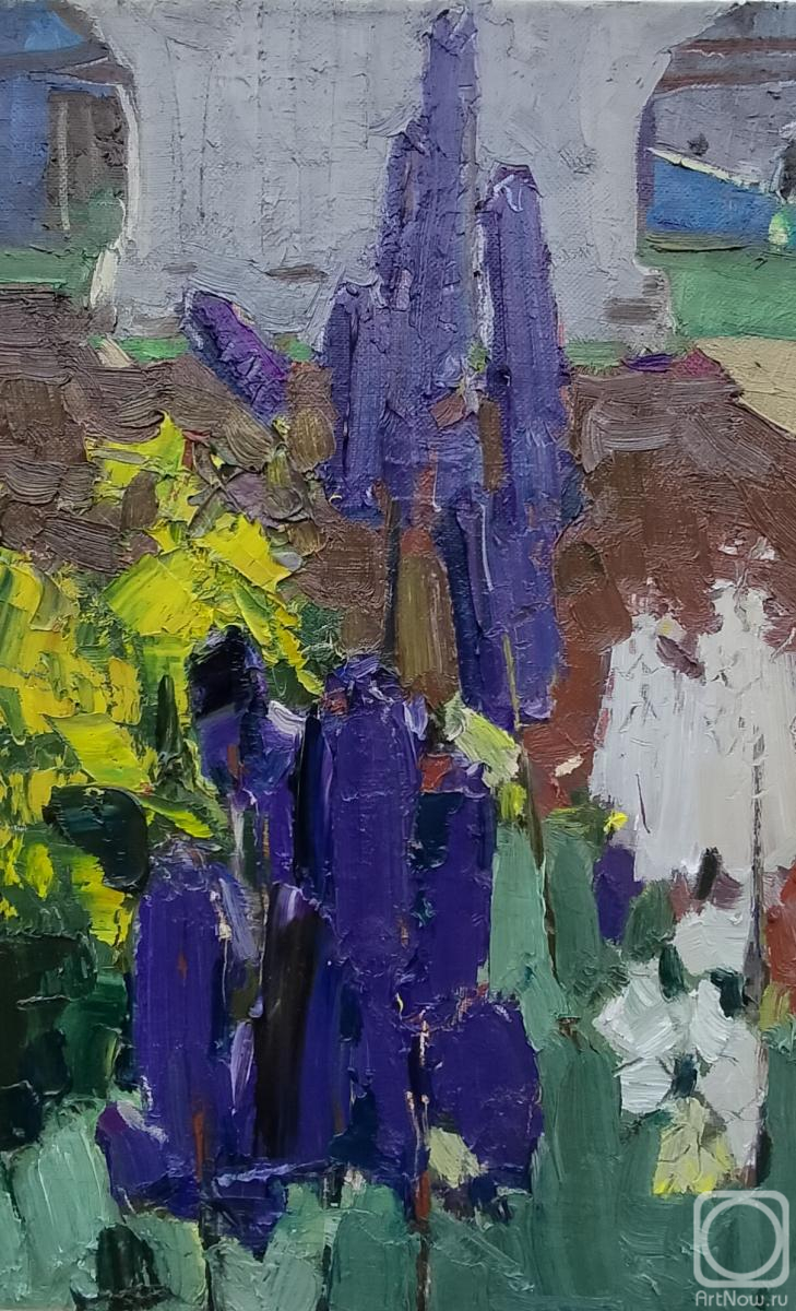 ������� ������ �� ������. ������� �������. ����� �� ������