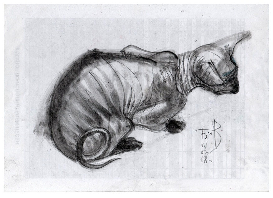 ���������� ������. ������