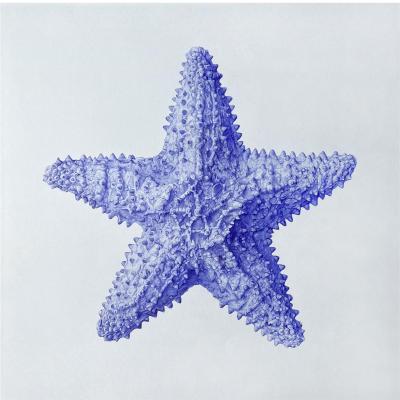 Starfish. Goryaeva Oksana