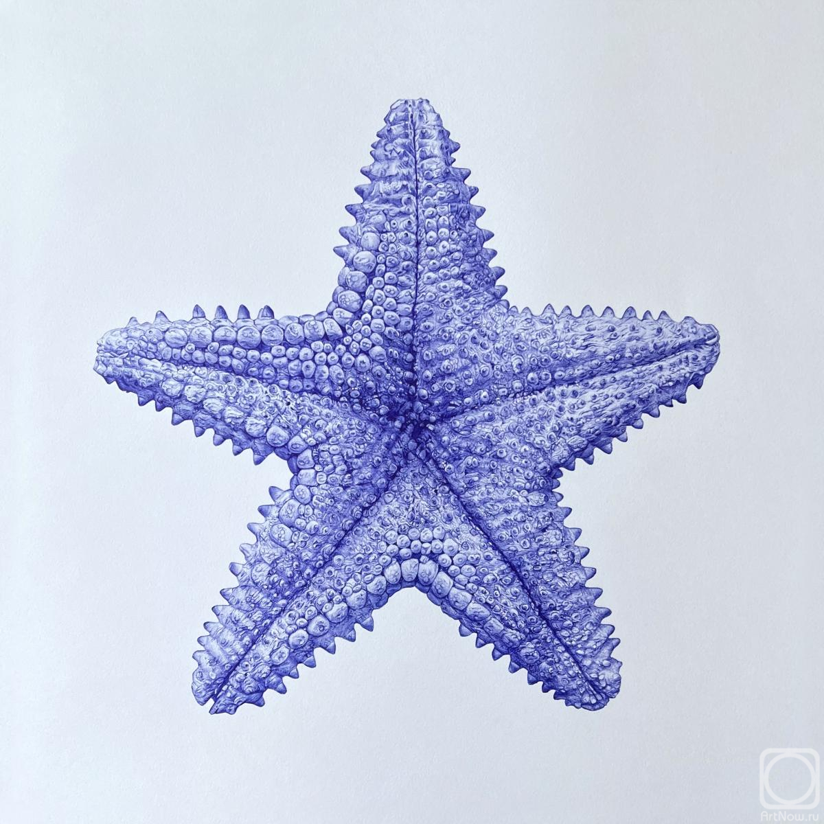 Goryaeva Oksana. Starfish