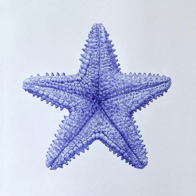 Starfish. Goryaeva Oksana
