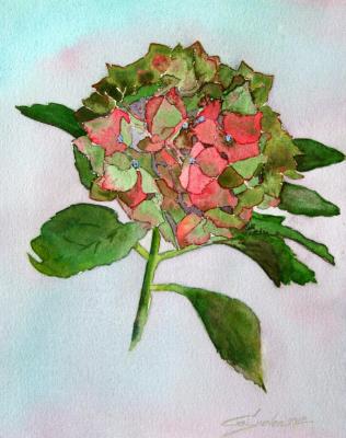 Hydrangea (Watercolor Floral). Gayvoronskaya Elena