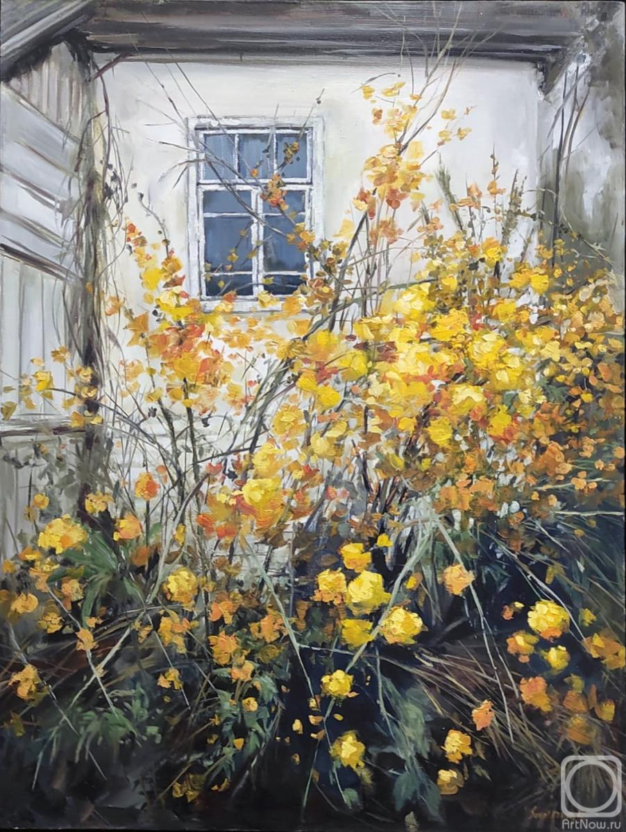 ������� ������ �� ������. ��������� ������. ������ ���