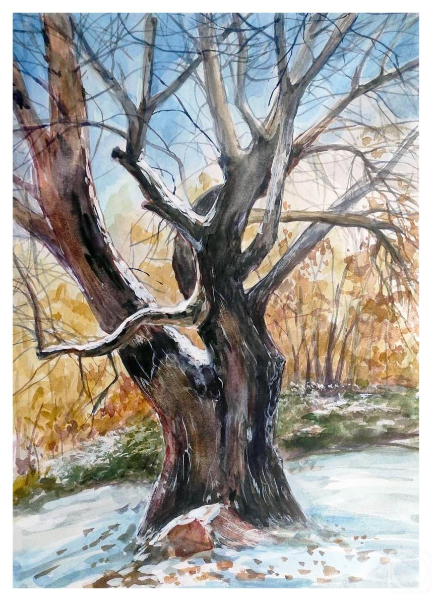 �������. ��������� ������. ������ ����