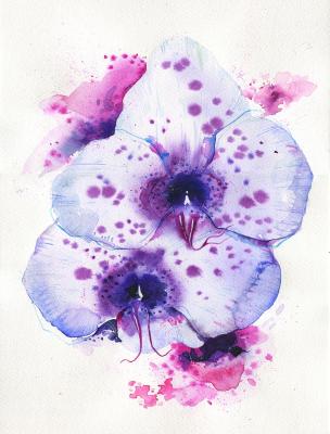 ���������� �������. �������� ����������