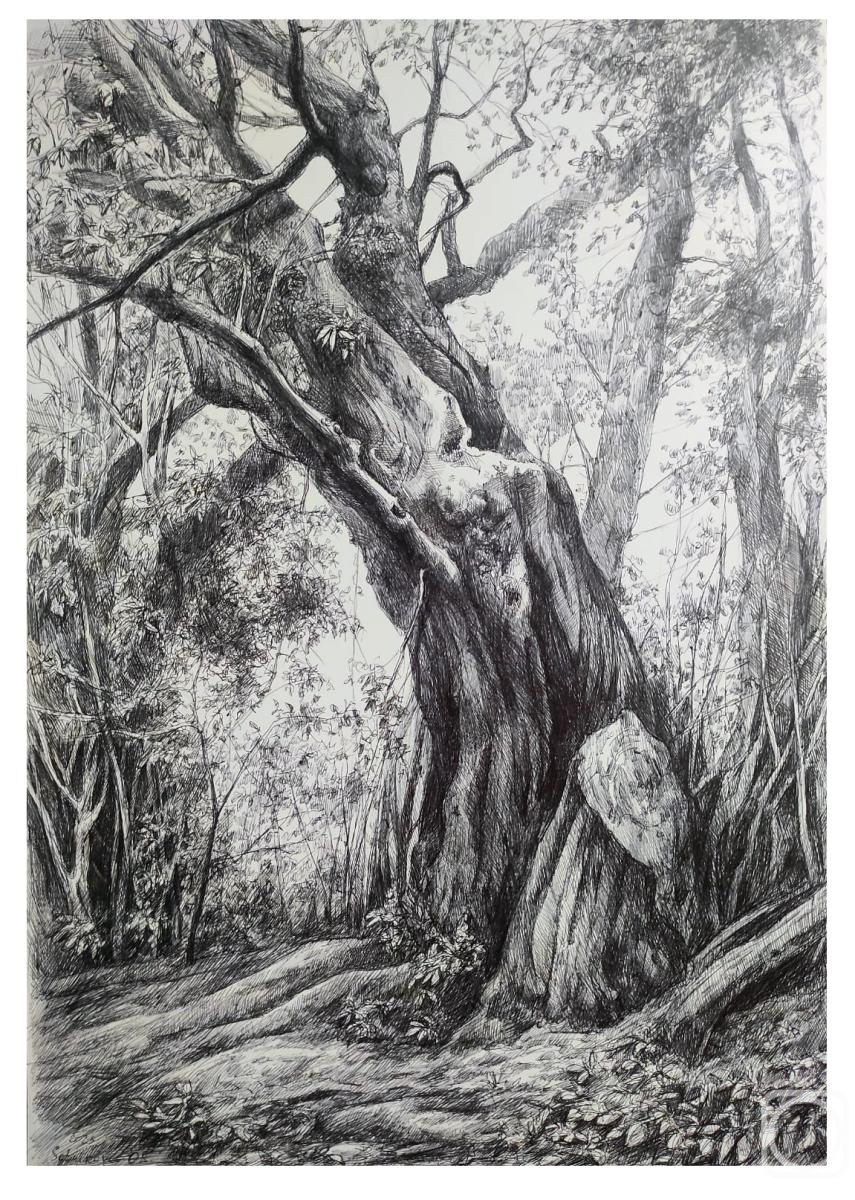 �������. ��������� ������. � ����