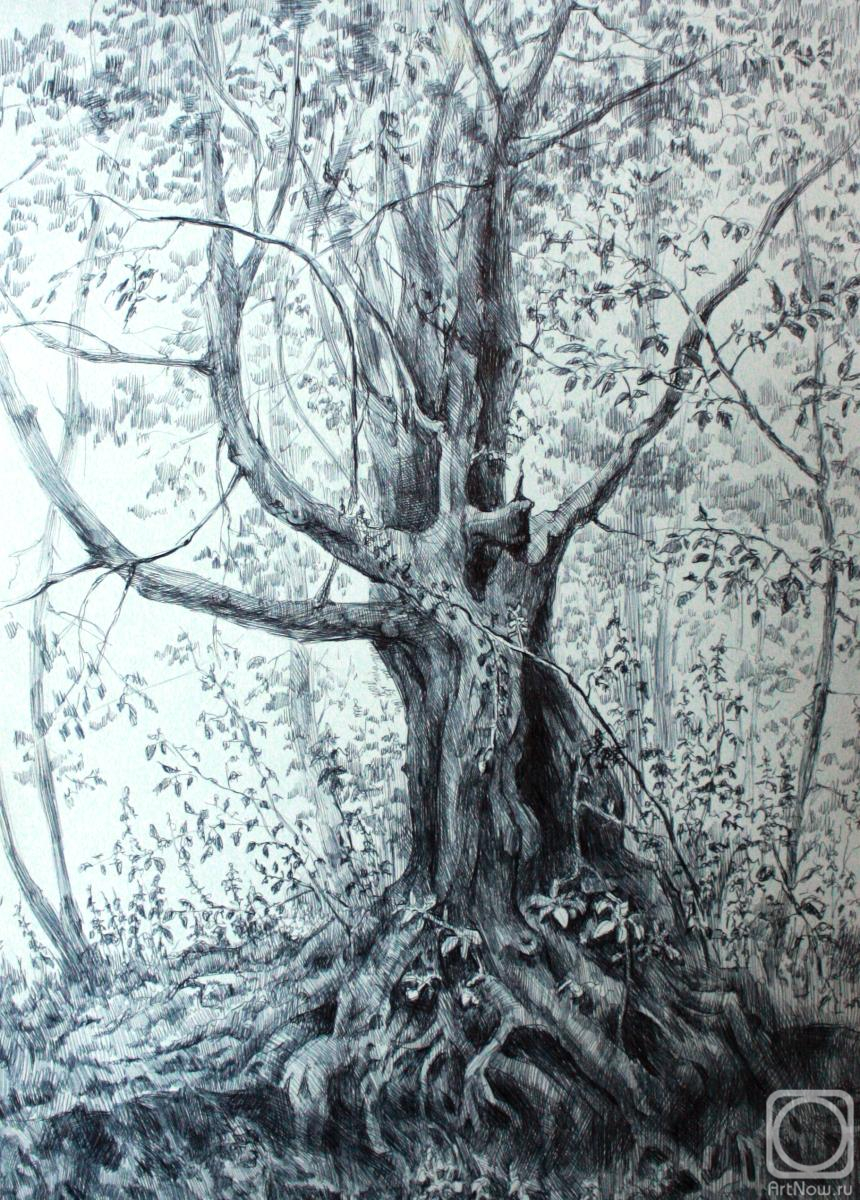 �������. ��������� ������. � ����