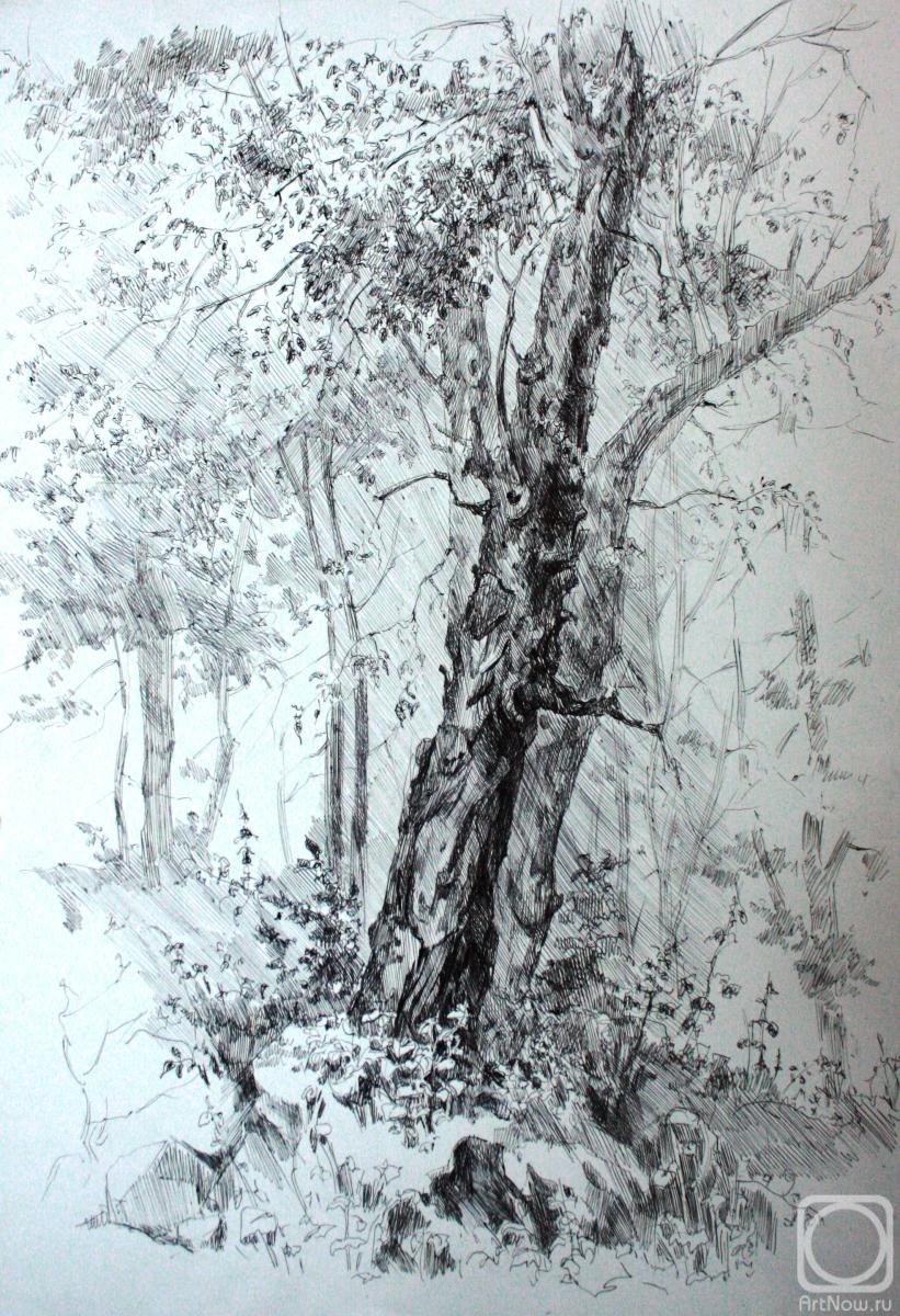 �������. ��������� ������. � ����