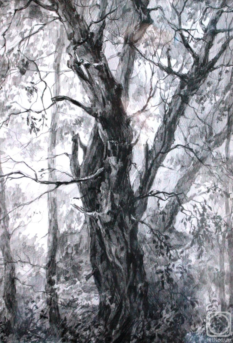 �������. ��������� ������. � ����