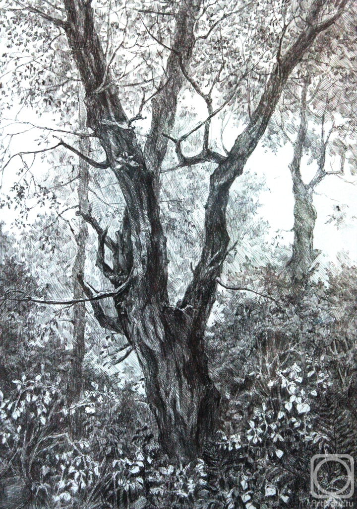 �������. ��������� ������. � ����