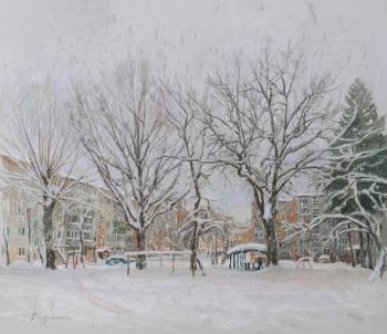 Snowfall at my Yard. Kharchenko Victoria