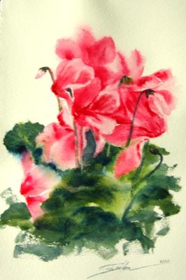 Cyclamen (Watercolor Floral). Gayvoronskaya Elena