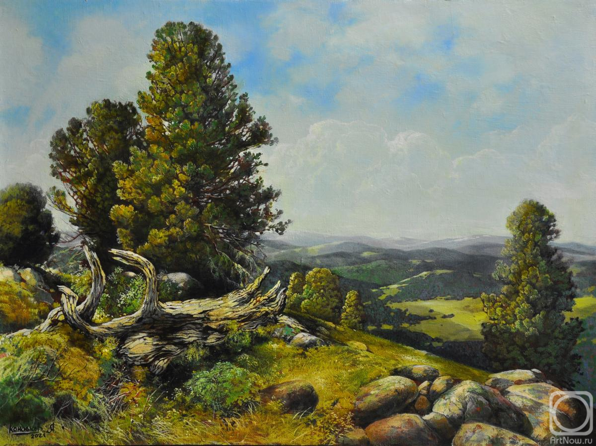 ������� ������ �� ������. �������� �����. ������ ���� �� �������