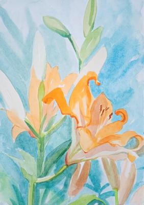 ������� �������